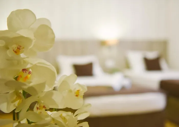 Mica 公寓 Međugorje